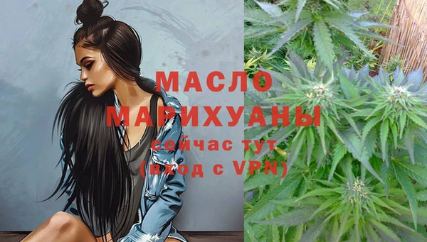 сатива Ельня