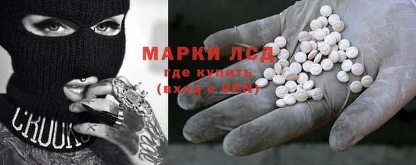 сатива Ельня