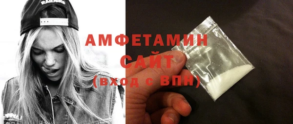 сатива Ельня