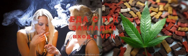 сатива Ельня