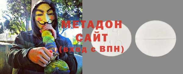 сатива Ельня