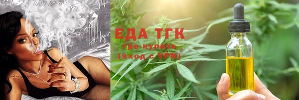 мдпв Елабуга