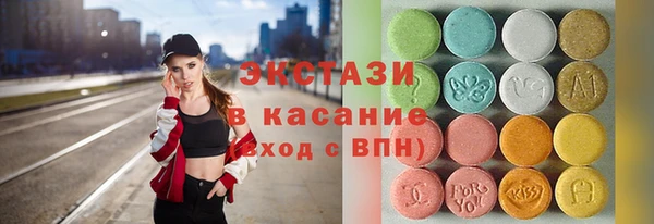 сатива Ельня