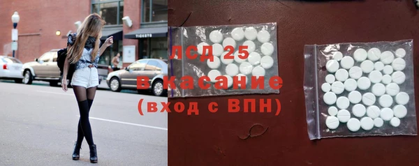 сатива Ельня