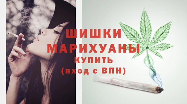 сатива Ельня