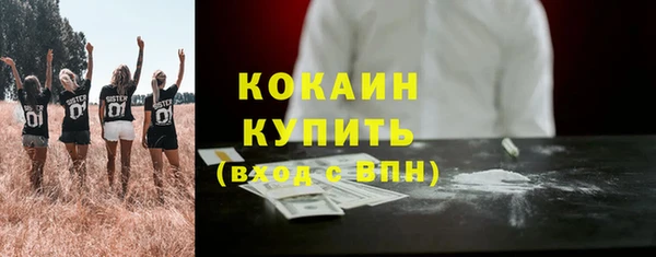 дживик Елизово