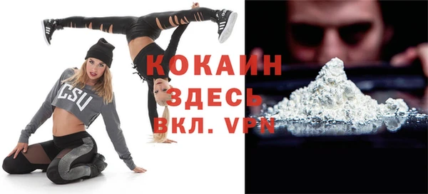 сатива Ельня