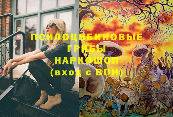 мдпв Елабуга