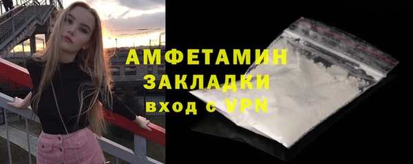 сатива Ельня
