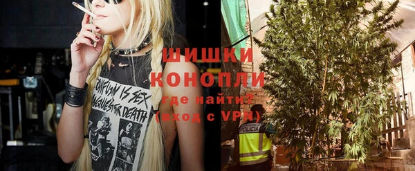 сатива Ельня