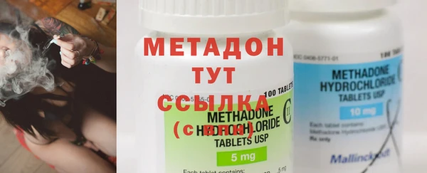 сатива Ельня