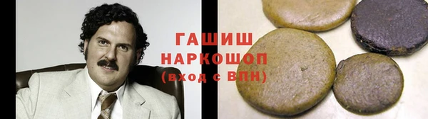 мдпв Елабуга