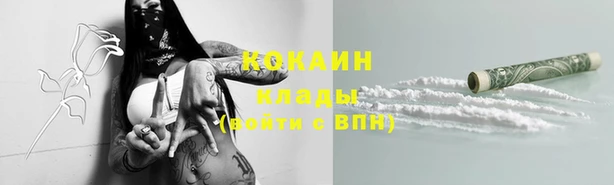 сатива Ельня