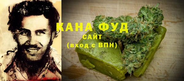 мдпв Елабуга