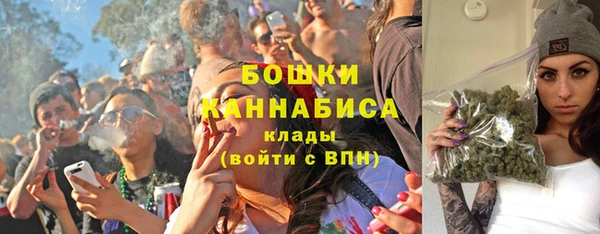 мдпв Елабуга
