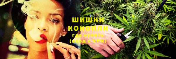 мдпв Елабуга