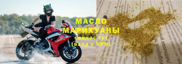 сатива Ельня