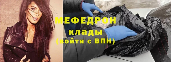 сатива Ельня
