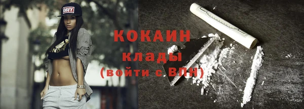сатива Ельня
