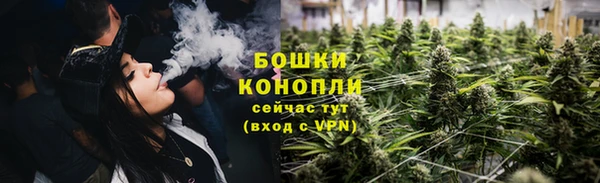 сатива Ельня